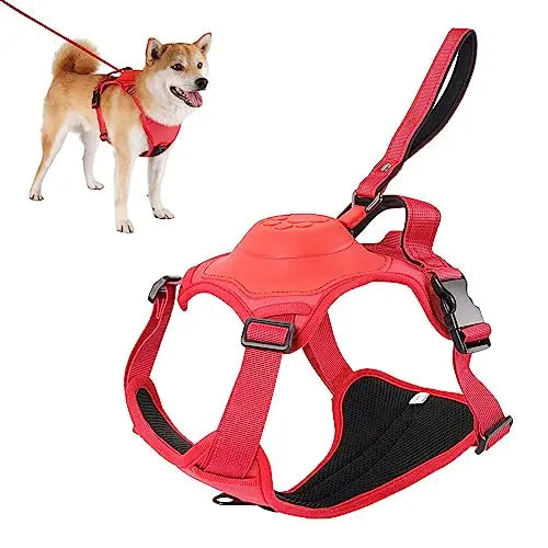 Kit de arnés y correa retráctil para perros