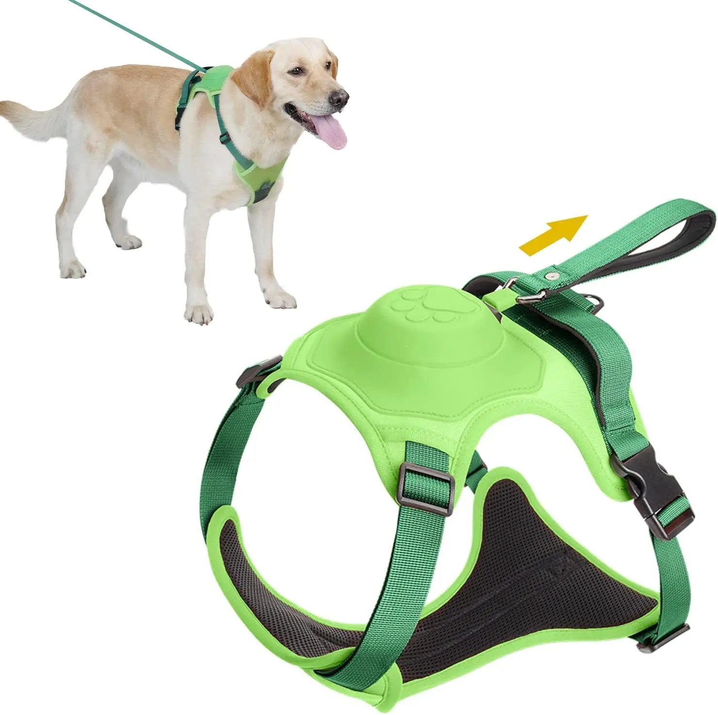 Kit de arnés y correa retráctil para perros