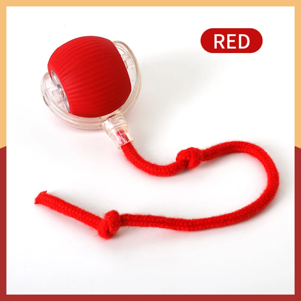 Juguete Automático con Bola Rodante para Gatos