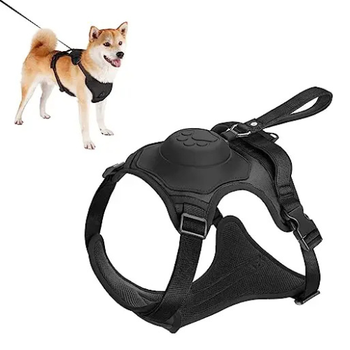 Kit de arnés y correa retráctil automática para perros.