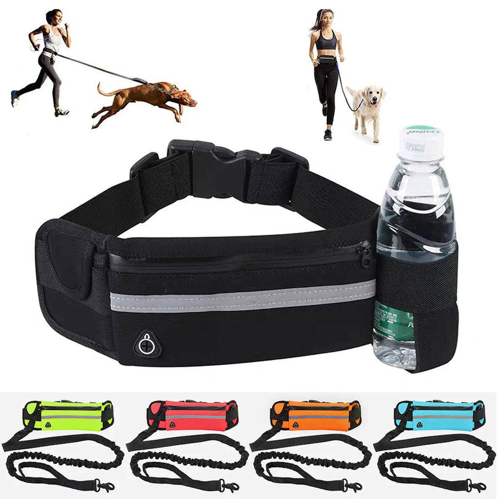 Correa para perros manos libres !