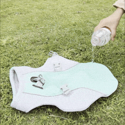 Chaleco refrescante de verano para perros.