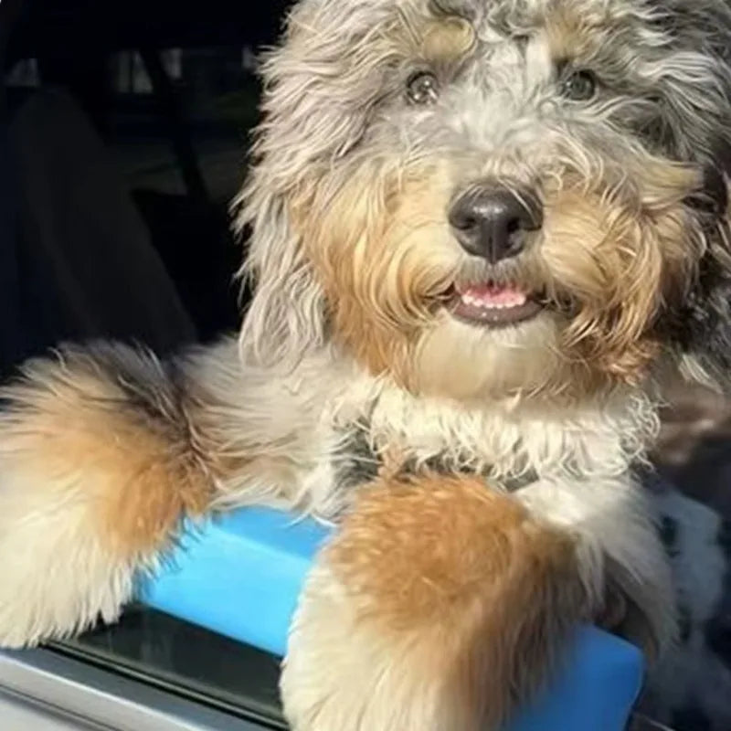Cojín de apoyo para perros en la ventana del coche – Descanso seguro y cómodo