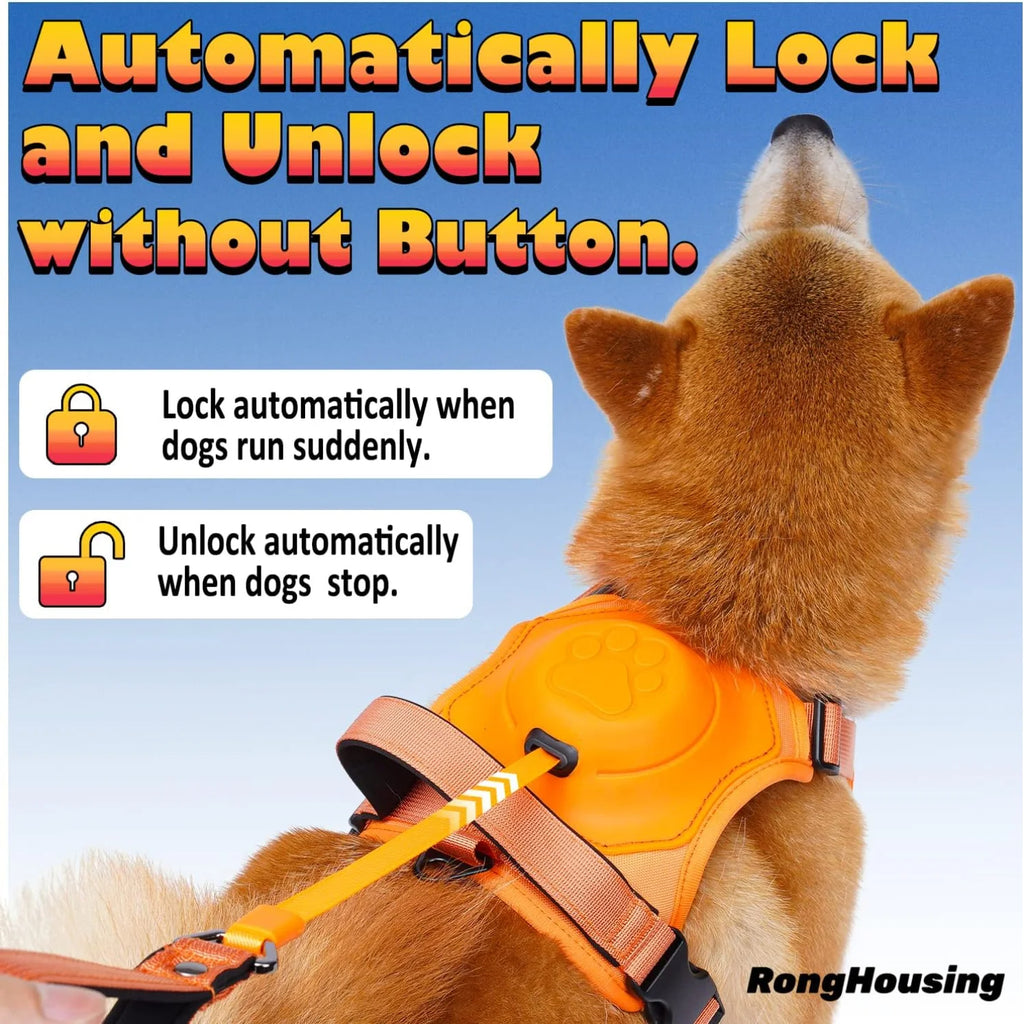 Kit de arnés y correa retráctil automática para perros.