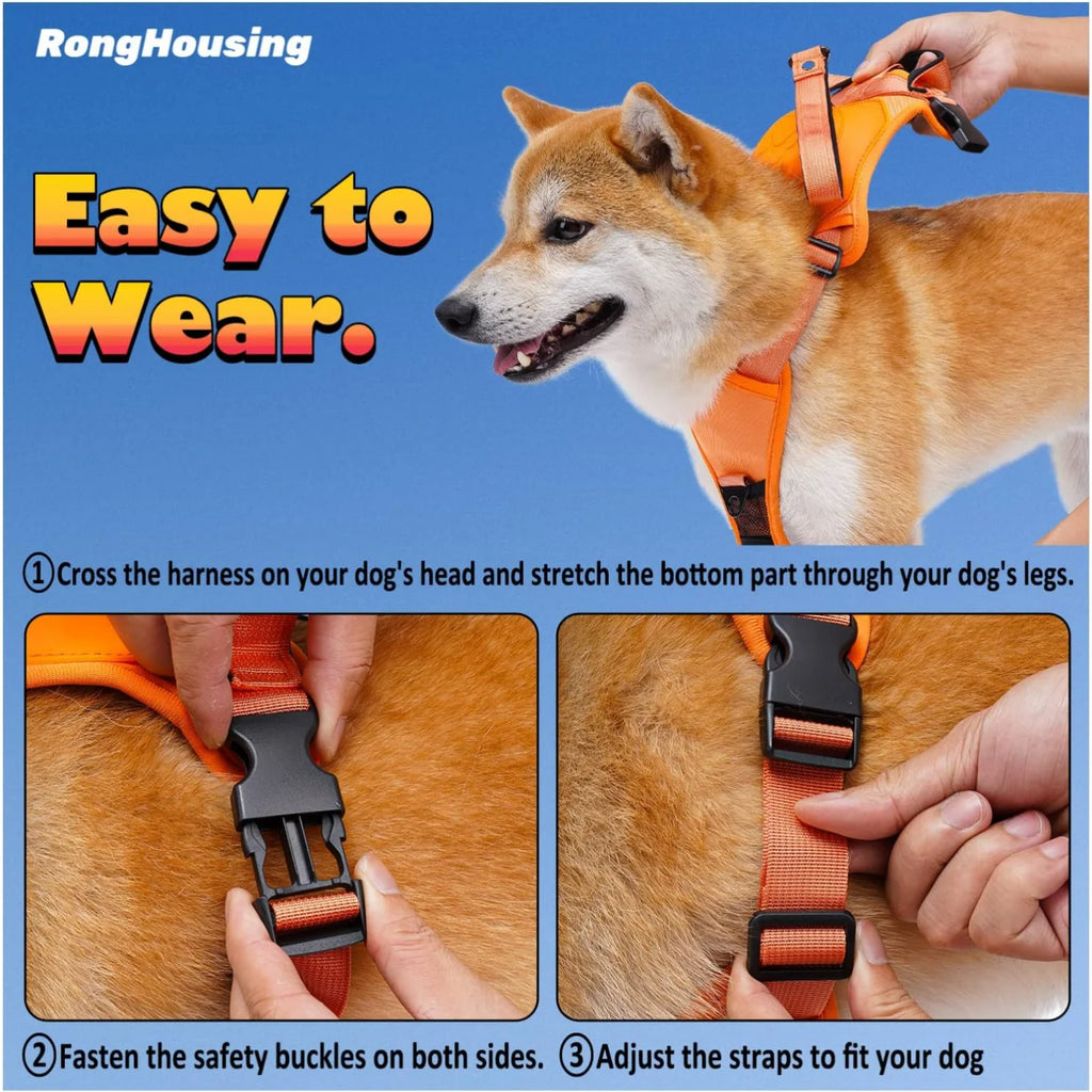 Kit de arnés y correa retráctil automática para perros.