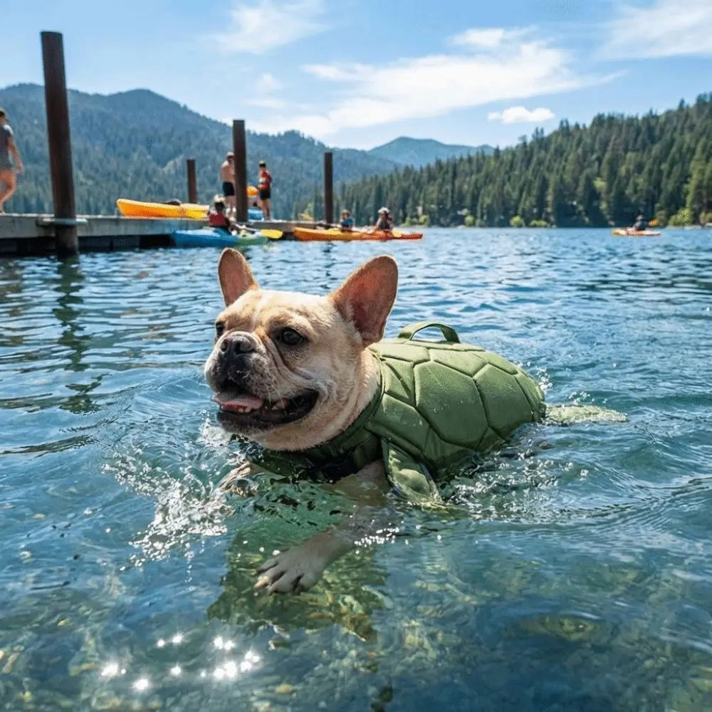 Chaleco salvavidas para perros ycon forma de tortuga