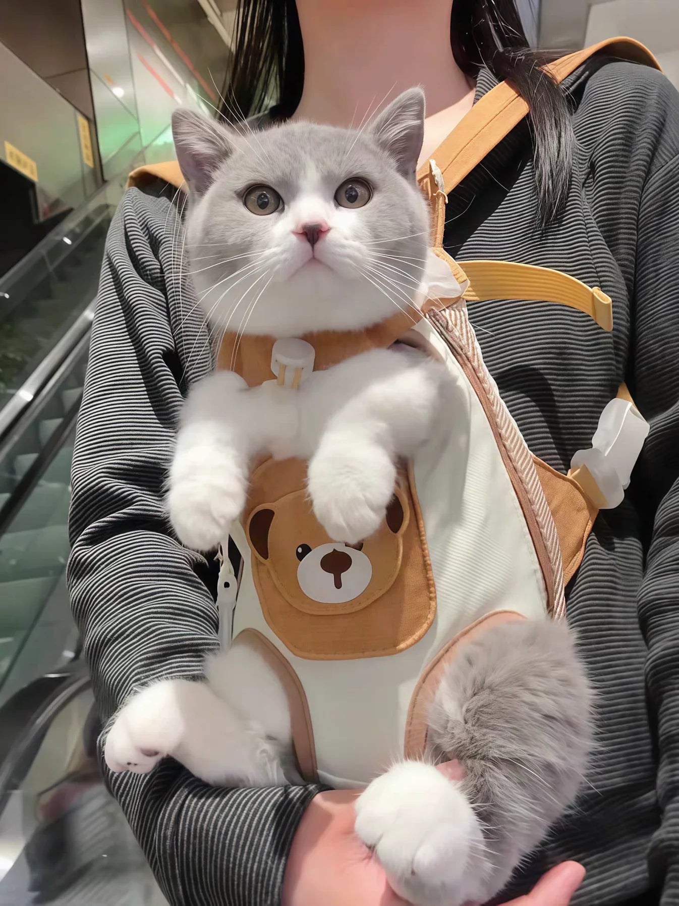 Mochila delantera de viaje para gat@s