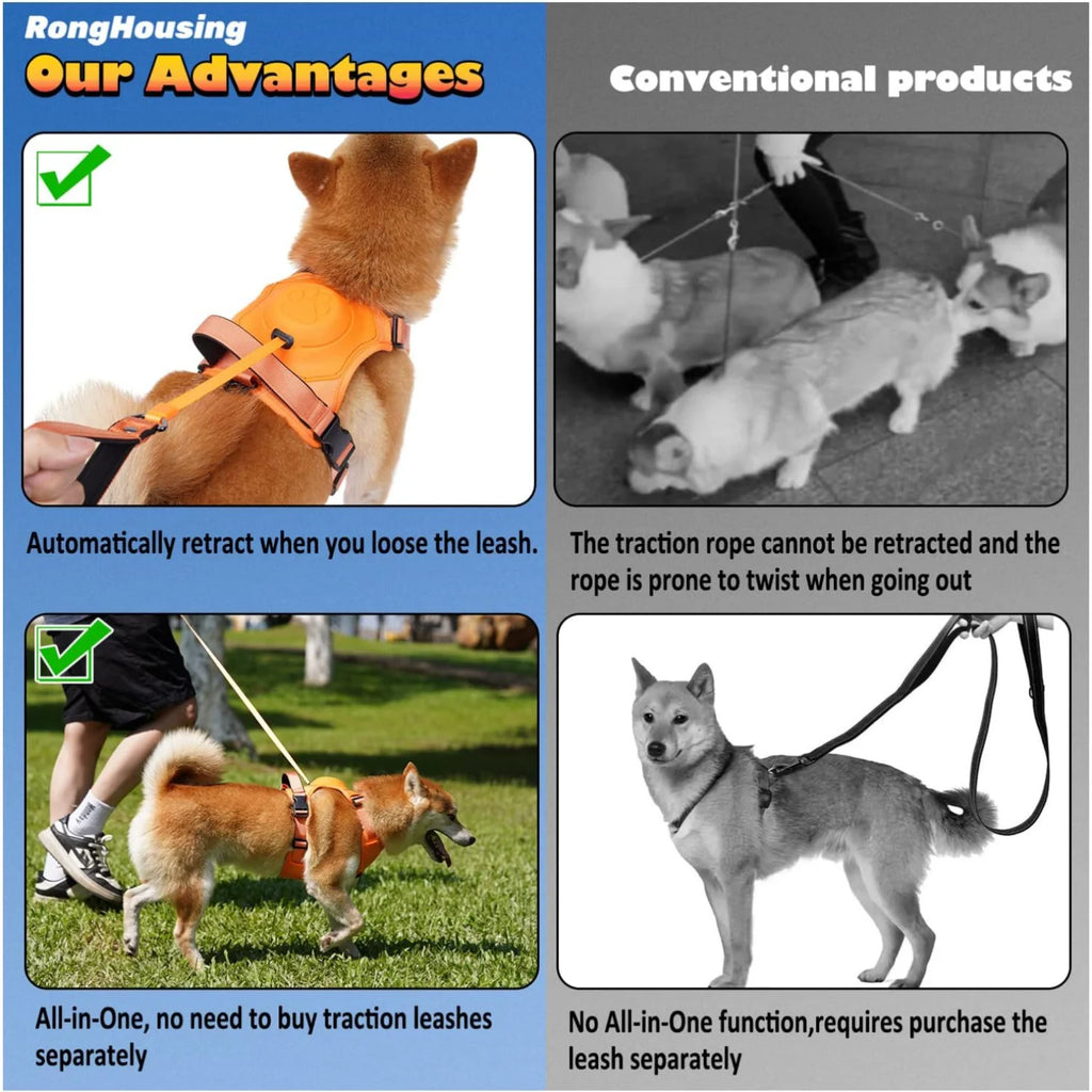 Kit de arnés y correa retráctil automática para perros.