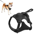 Kit de arnés y correa retráctil automática para perros.