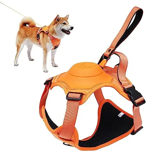 Kit de arnés y correa retráctil para perros