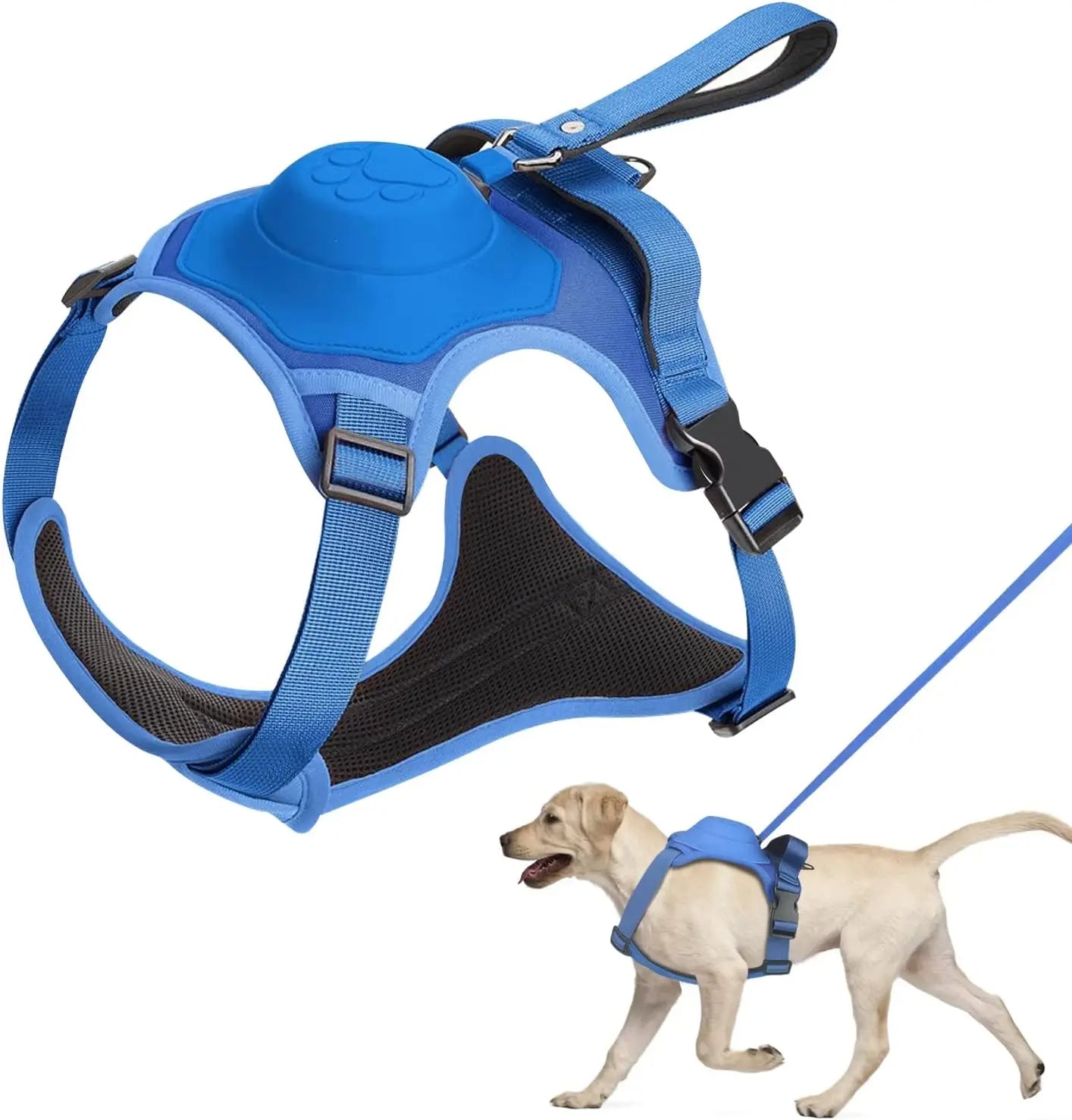 Kit de arnés y correa retráctil para perros